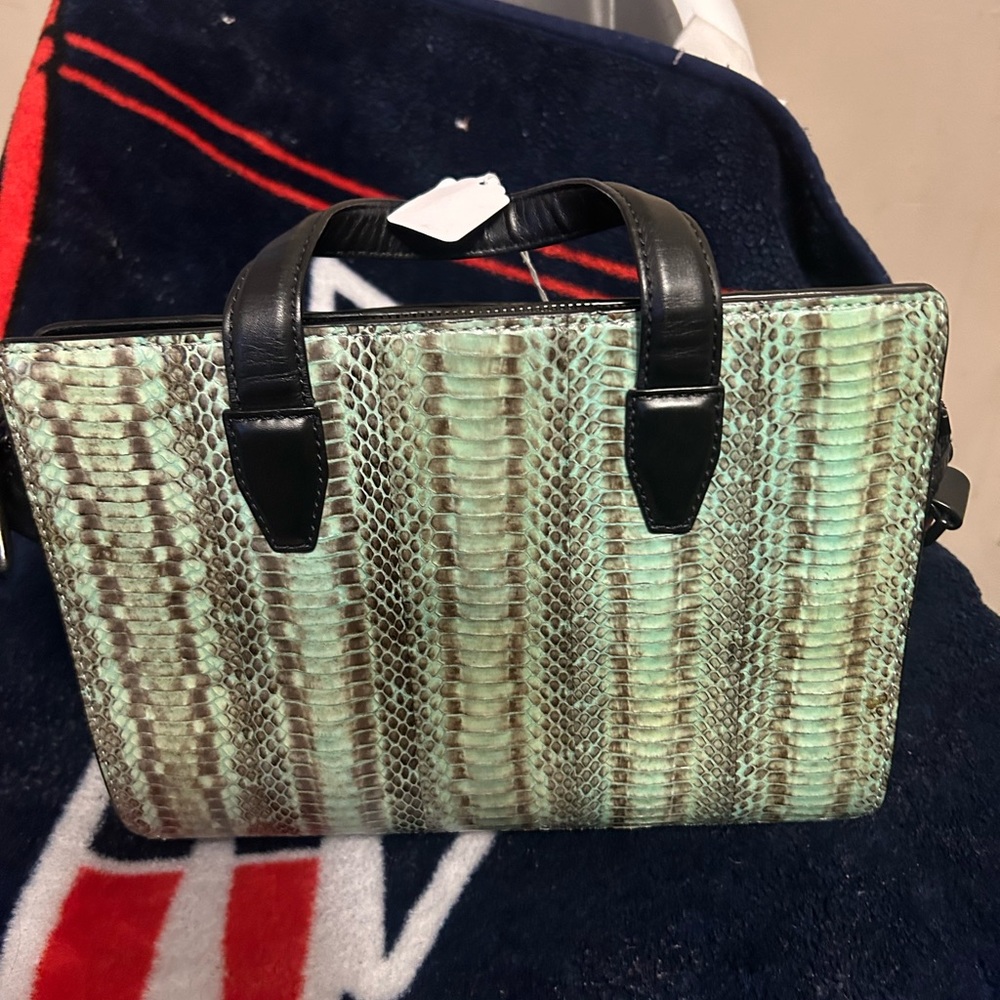 Woman Alexander wang bag